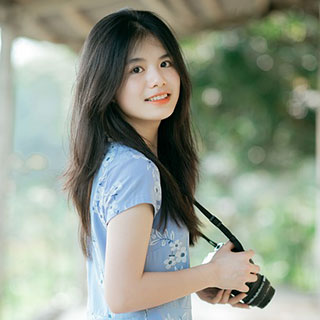 Hoa Mai